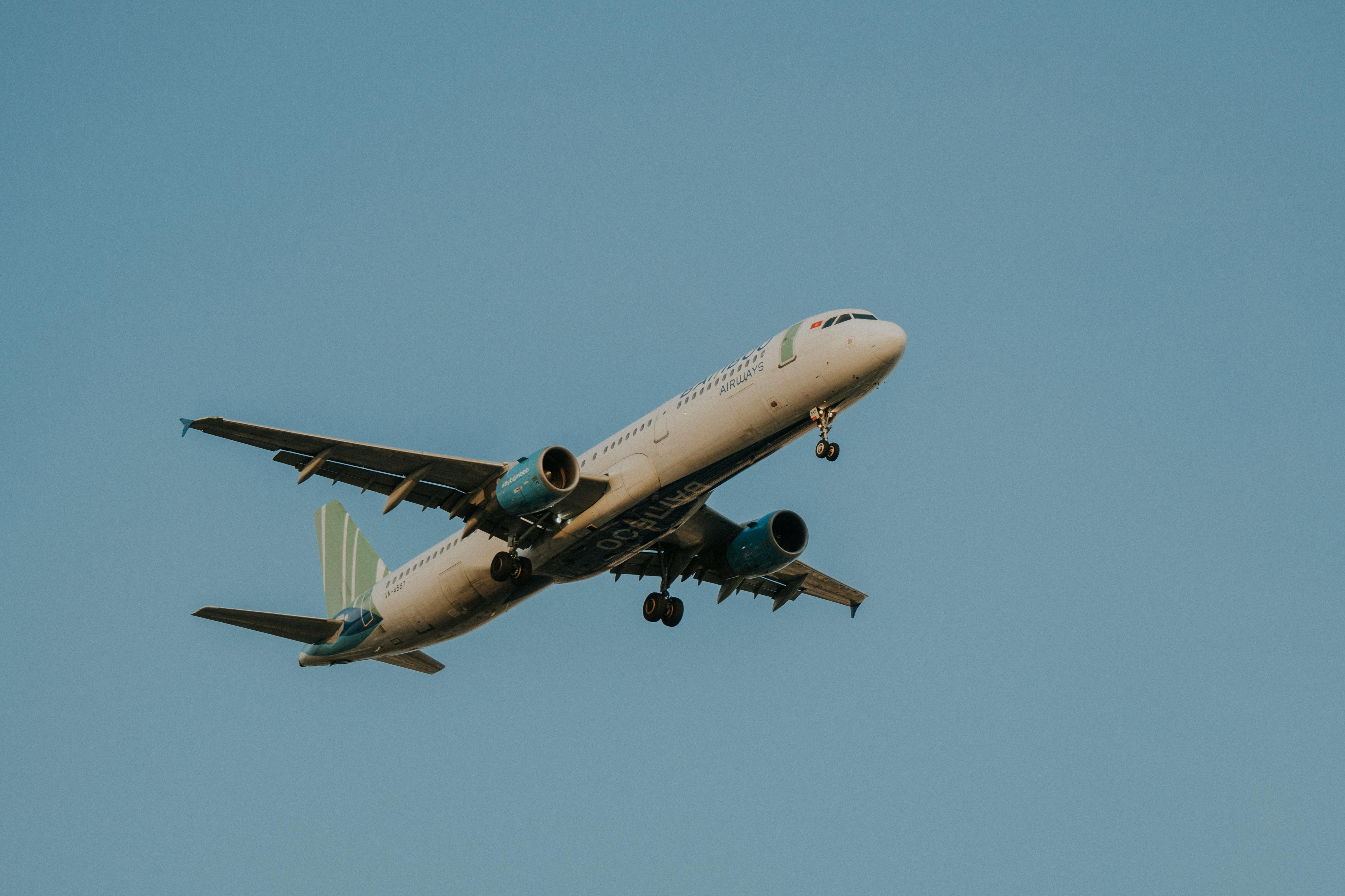 Travel Leaders Network triples down on family travel — Photo by Văn Nguyễn Hoàng on Pexels