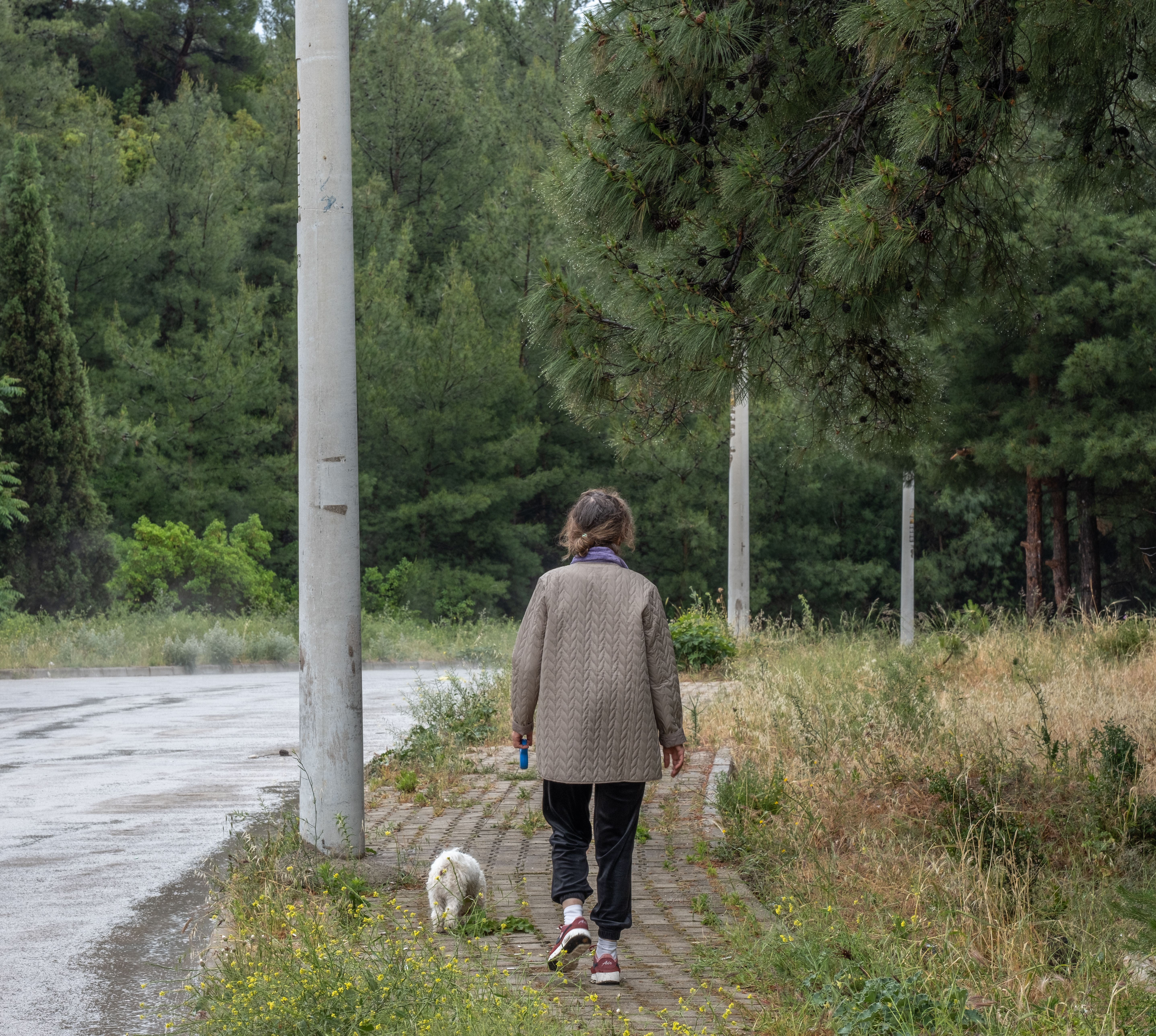 Small daily habits: easy strength habits