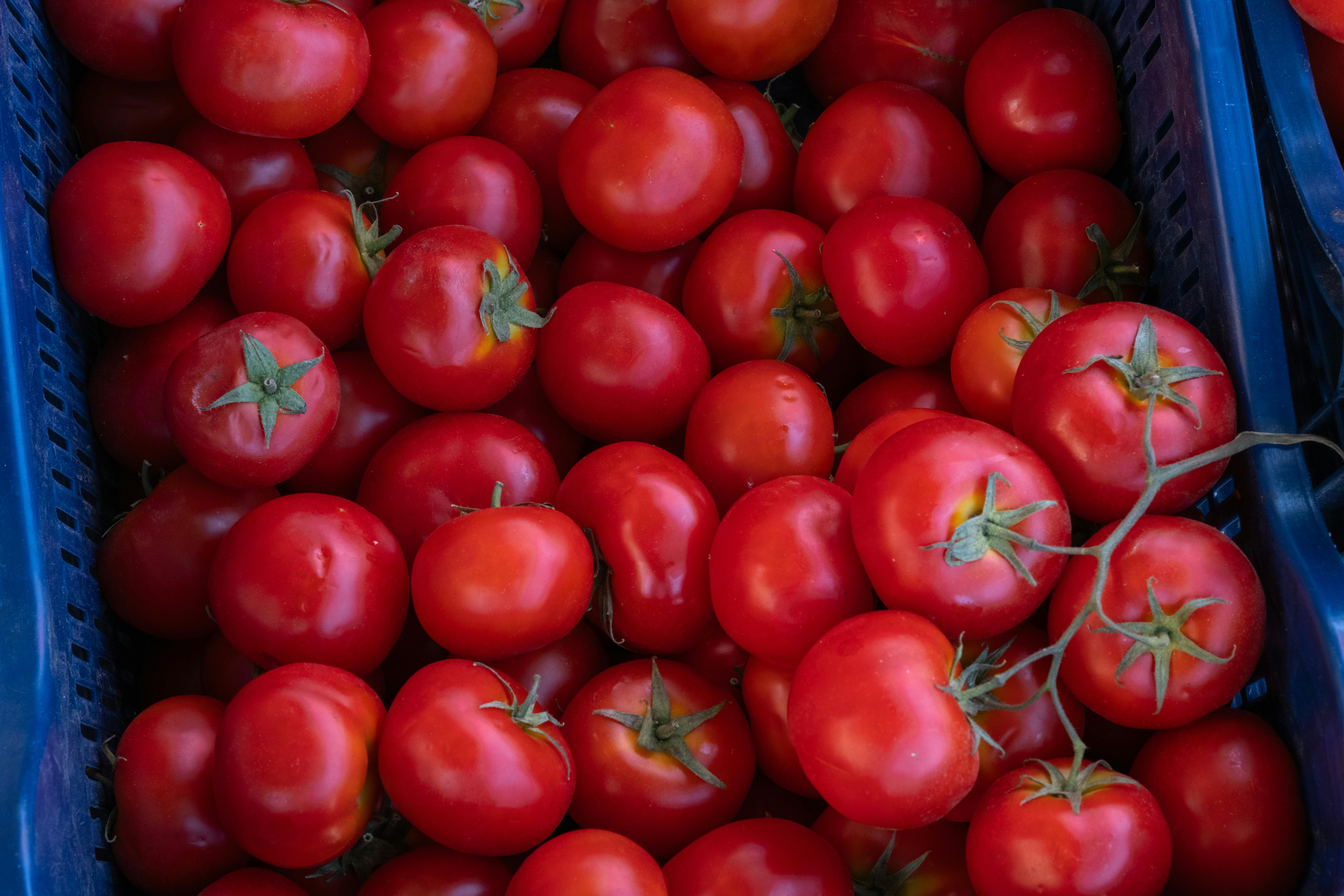 Cooking Devices for Healthy Living: Benefits of Steamer Baskets