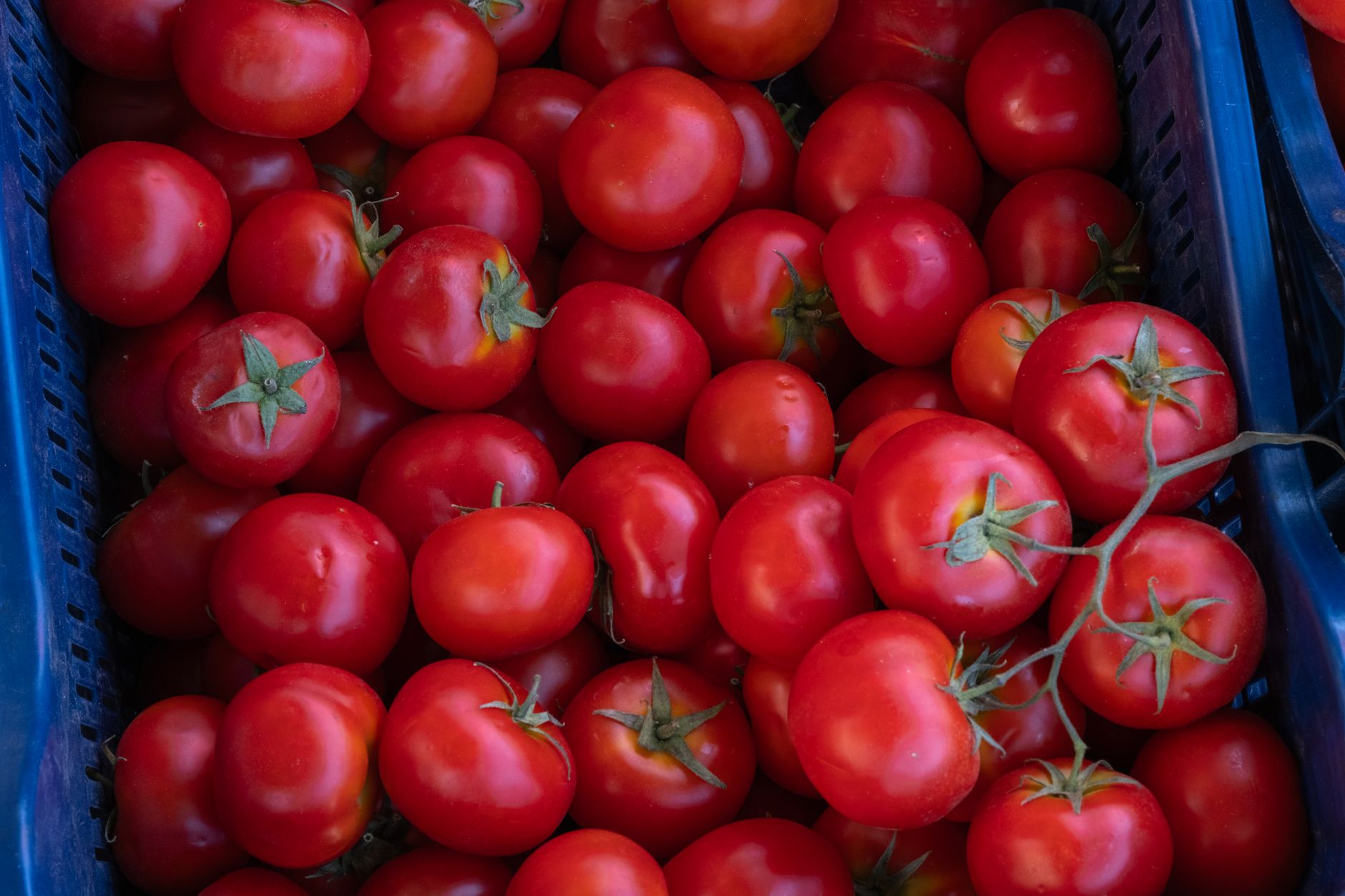 Kuskuslu Sebzeli Vegan Güçlü Tad