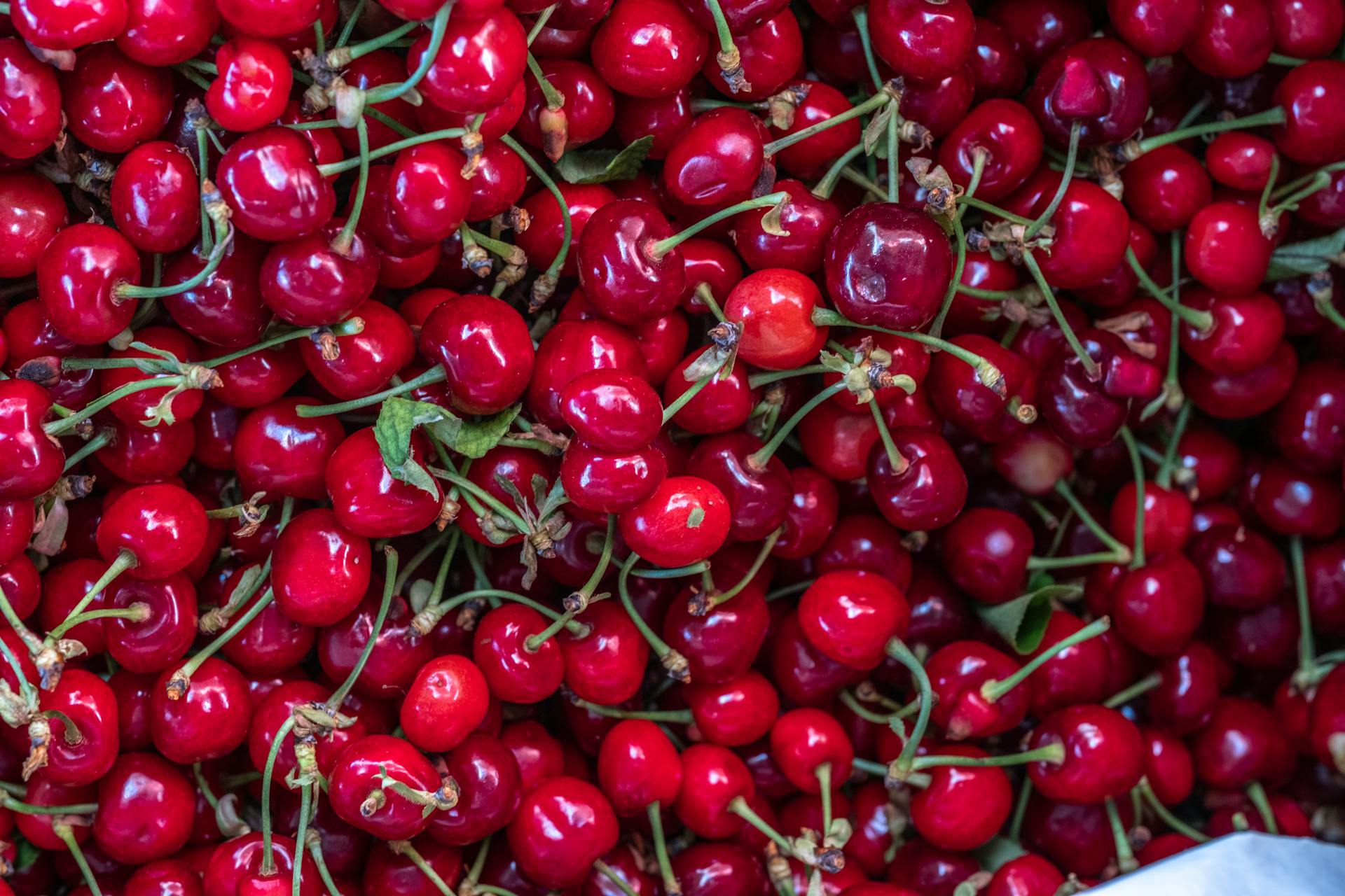 Abundance of Red Cherries