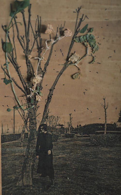 Darmowe zdjęcie z galerii z dorosły, druk, drzewo