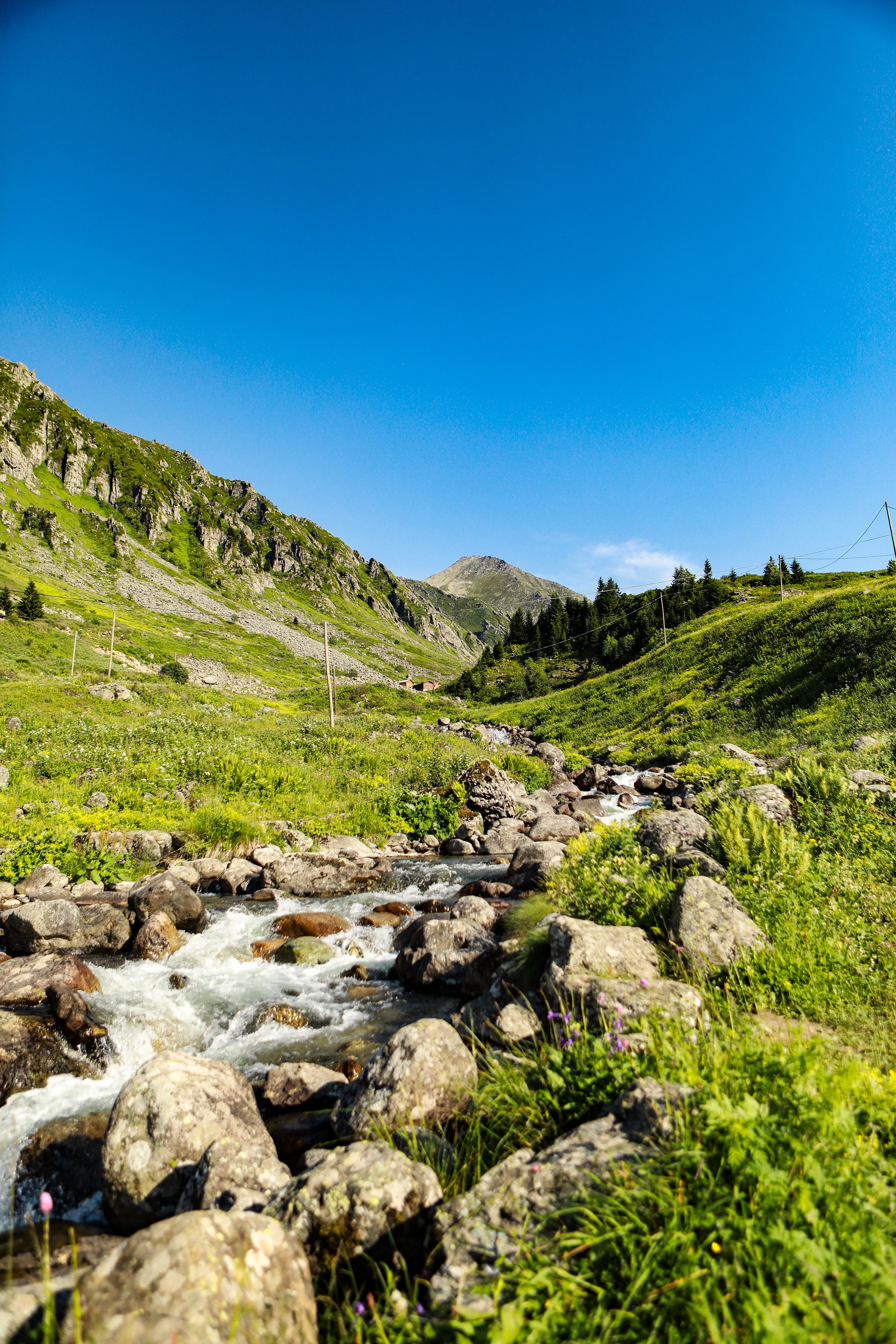 A serene creek flowing through lush green hills under a clear blue sky, capturing the essence of nature's beauty.
