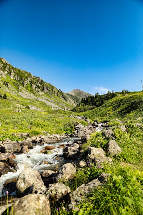 açık hava, ahşap, arazi içeren Ücretsiz stok fotoğraf