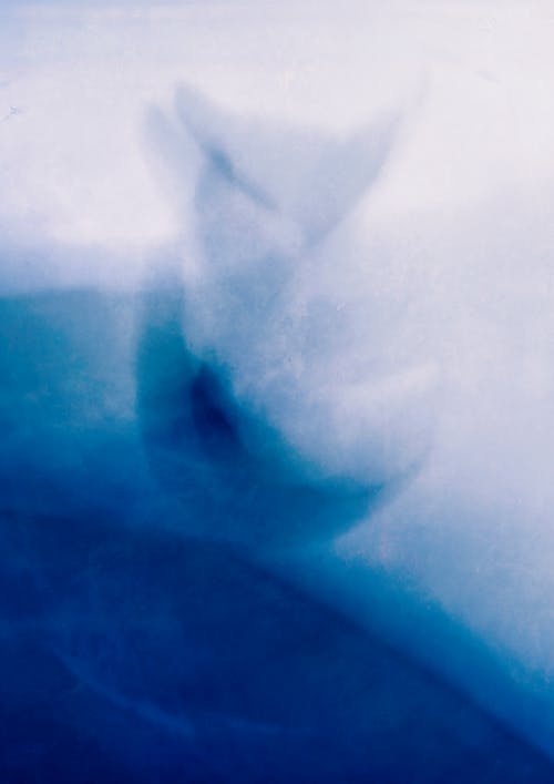 Foto profissional grátis de abstrair, abstrato azul, água