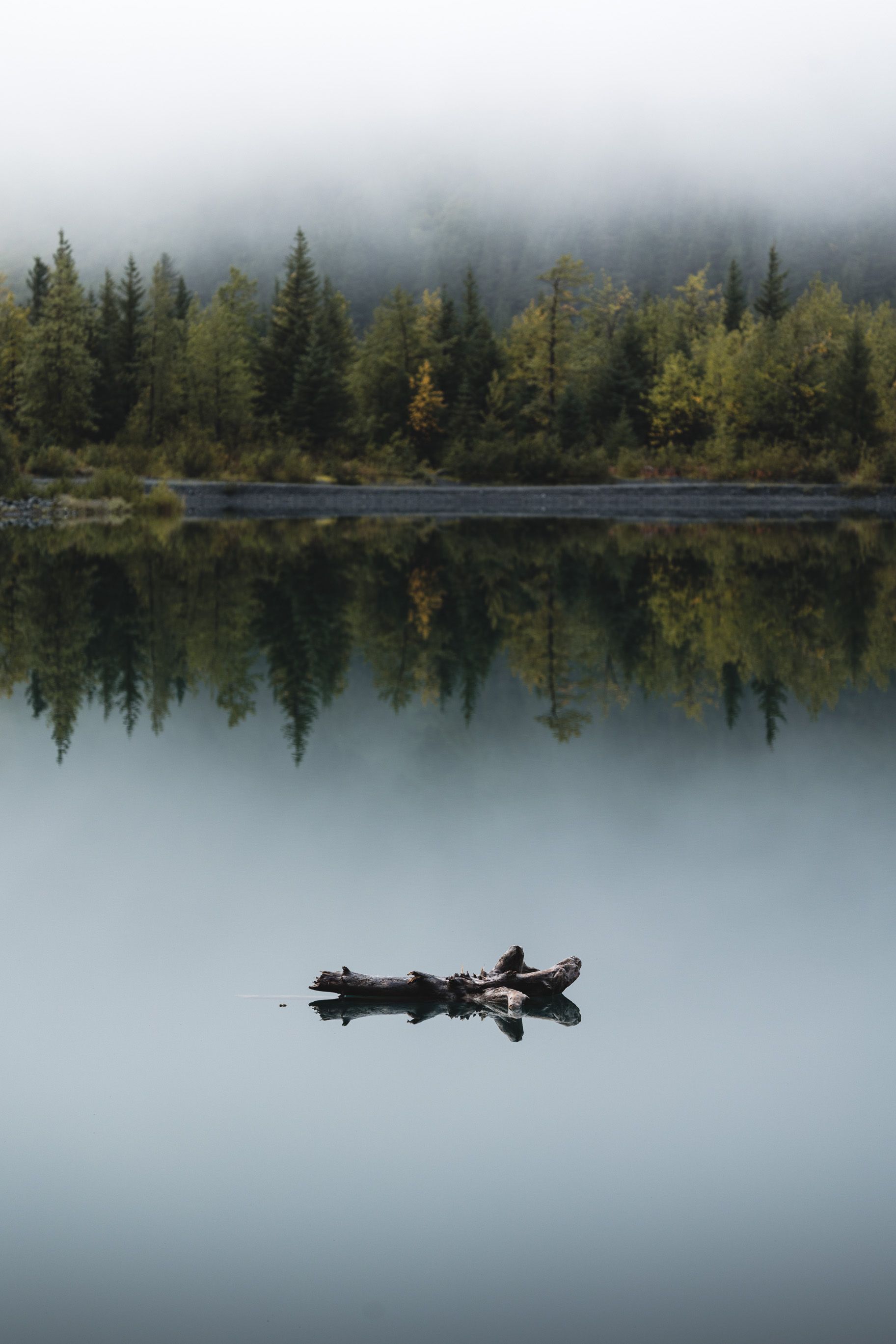 Embracing Nature's Calm Through Mindful Strolls and Outdoor Moments