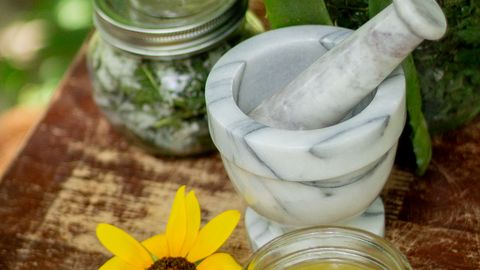 Natural healing setup featuring herbs, aloe, and a mortar and pestle.