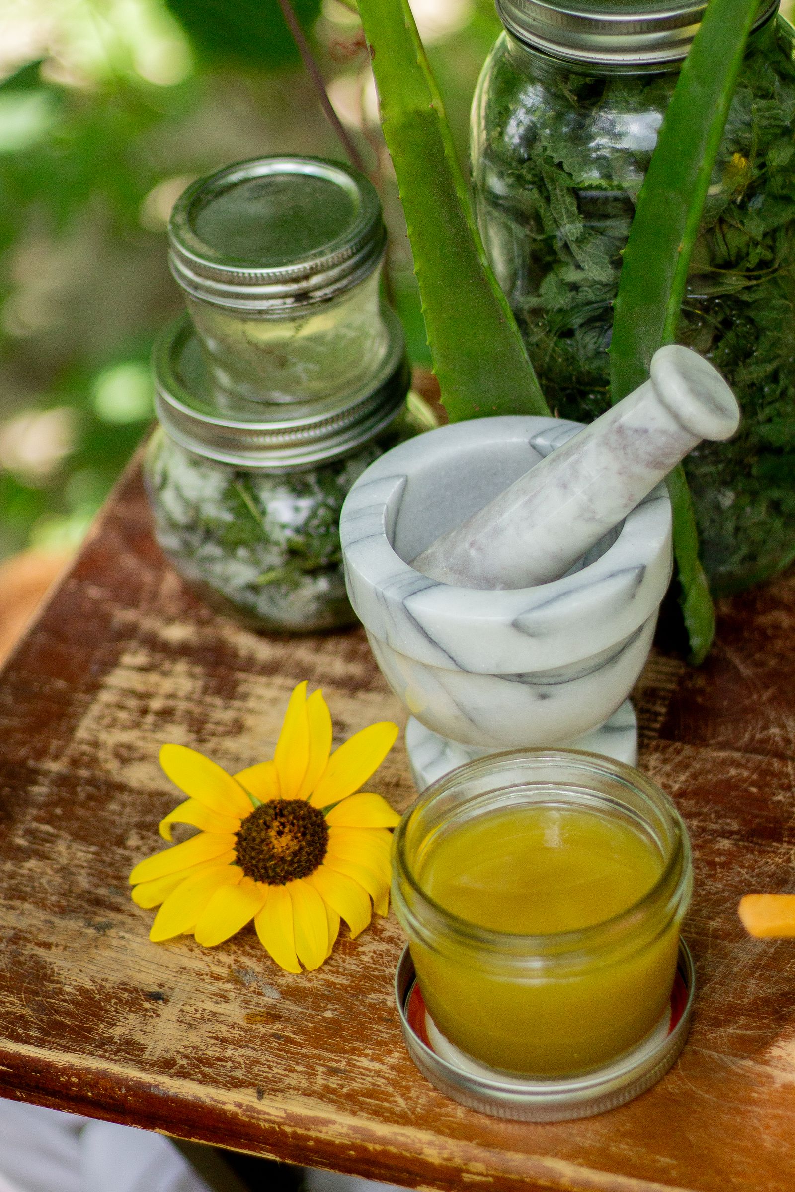 Anzee Ayurveda wellness