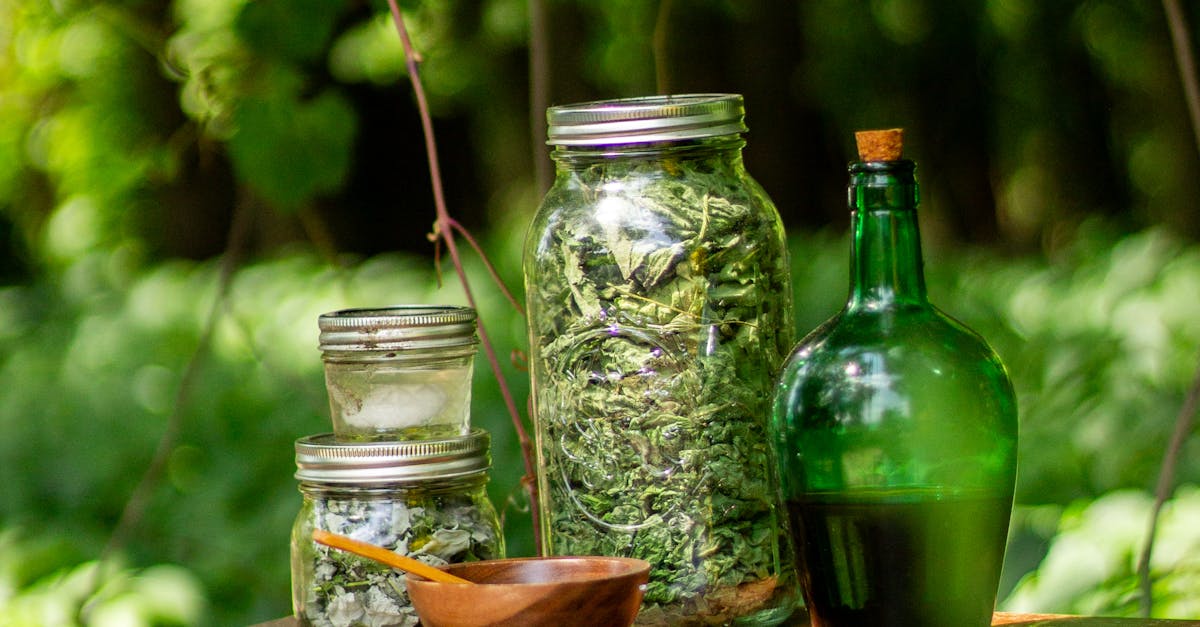 Herbal Jars & Vessels in Forest