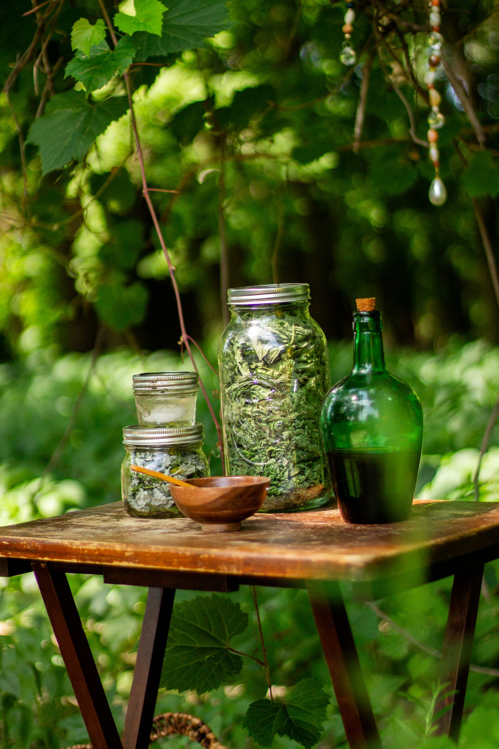 Anzee Ayurveda wellness