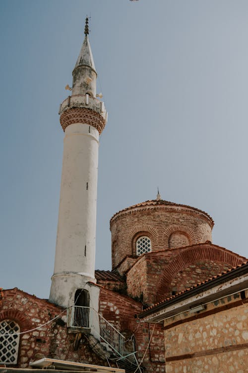 Free A bird flying over a mosque in turkey Stock Photo
