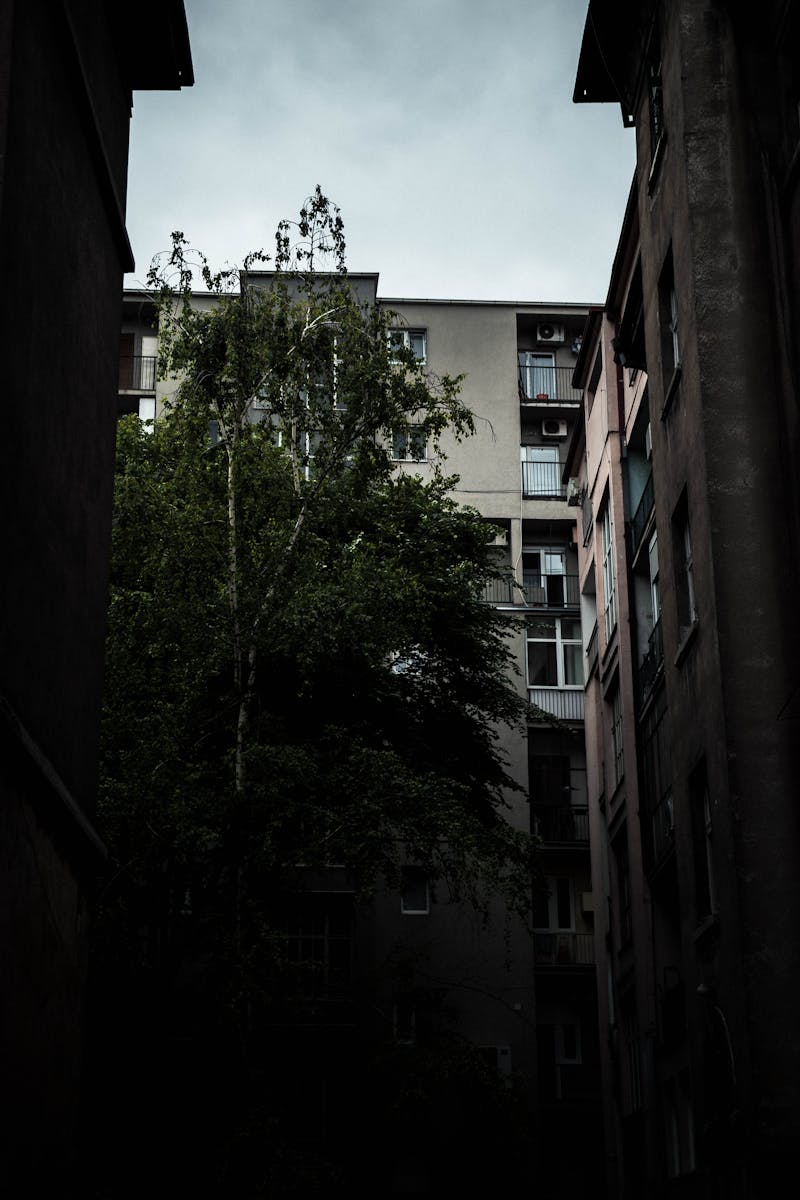 Panorama von Wien mit historischer Architektur
