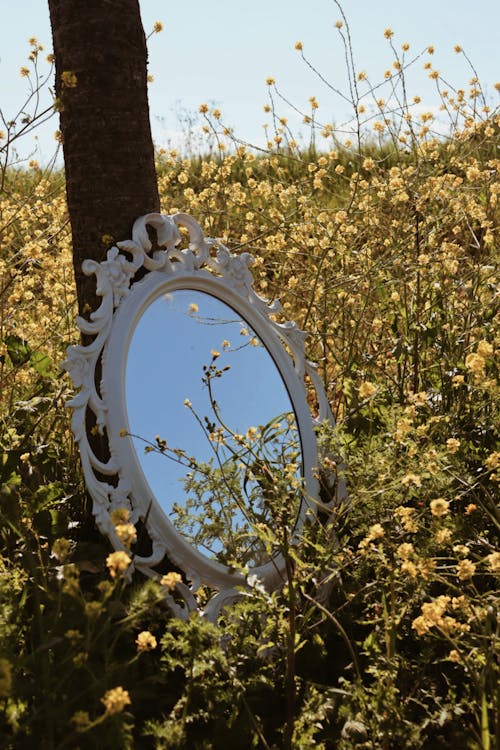 A mirror is sitting in the middle of a field