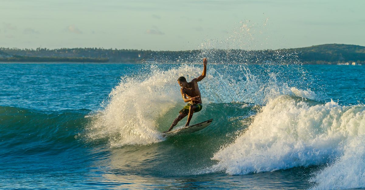 千叶冲浪新消息!🏄♂️💙 千叶冲浪新消息!🏄♂️💙