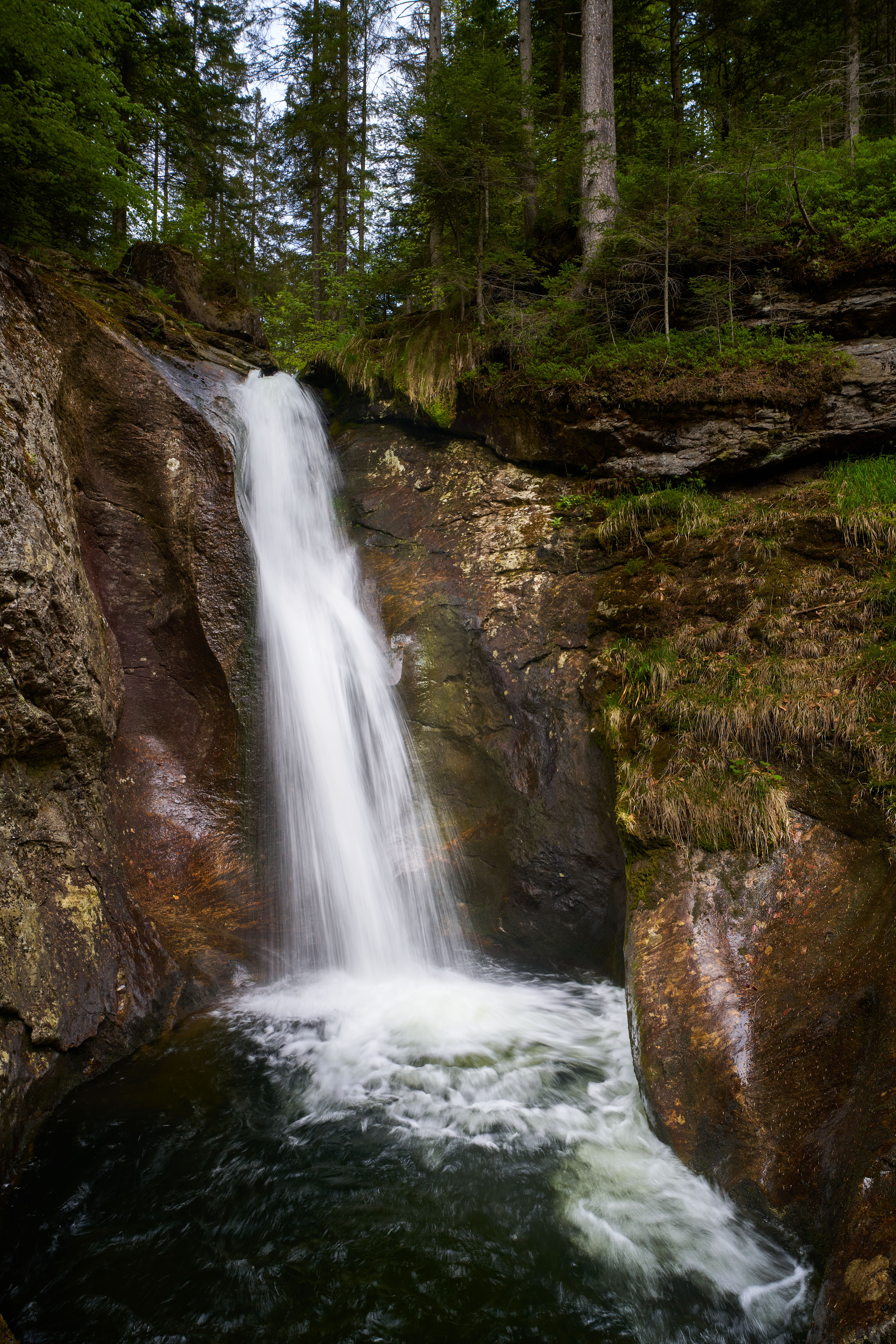 Waterfall on Rocks in Forest · Free Stock Photo