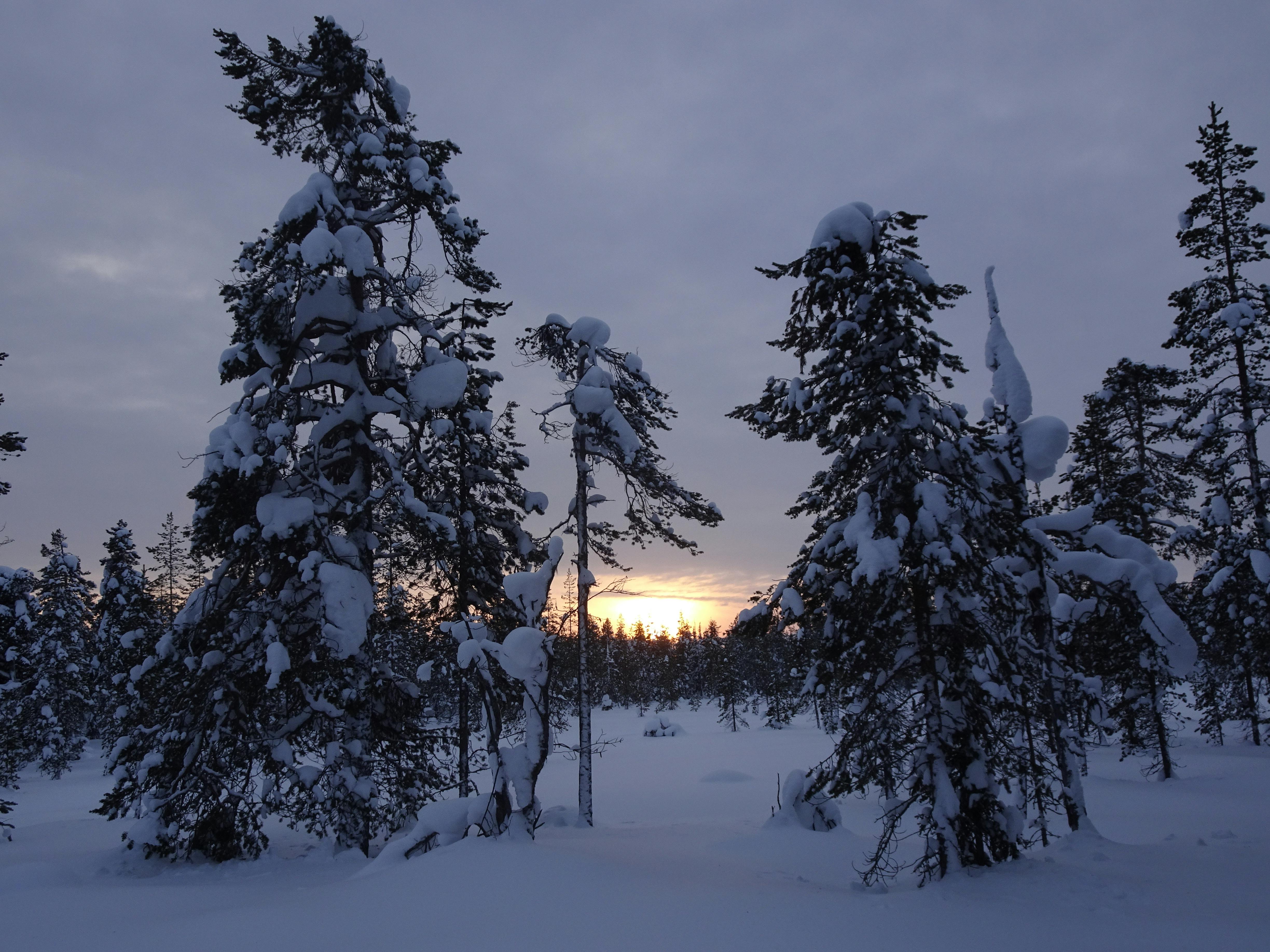 Free stock photo of Finland, winter, winter landscape