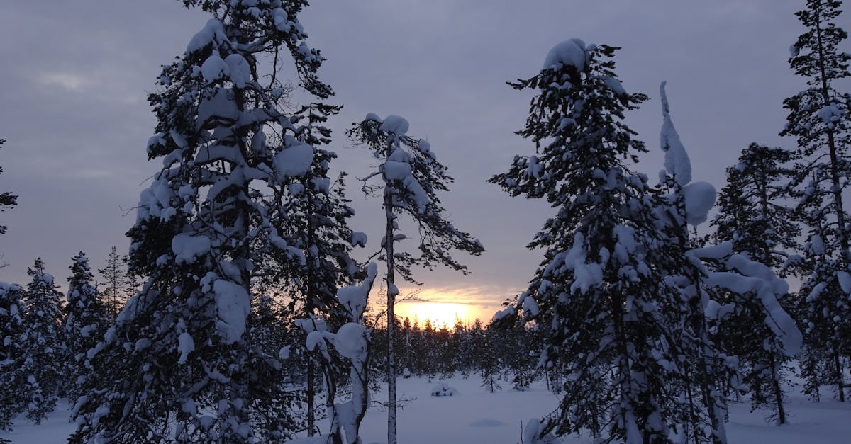 Free stock photo of Finland, winter, winter landscape