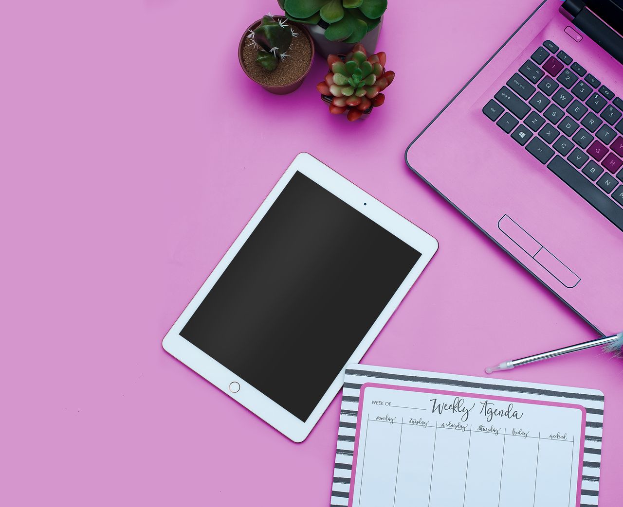 Aesthetic Digital Planner | Daily, Weekly & Monthly Planner A modern pink-themed workspace setup featuring a tablet, laptop, and succulents