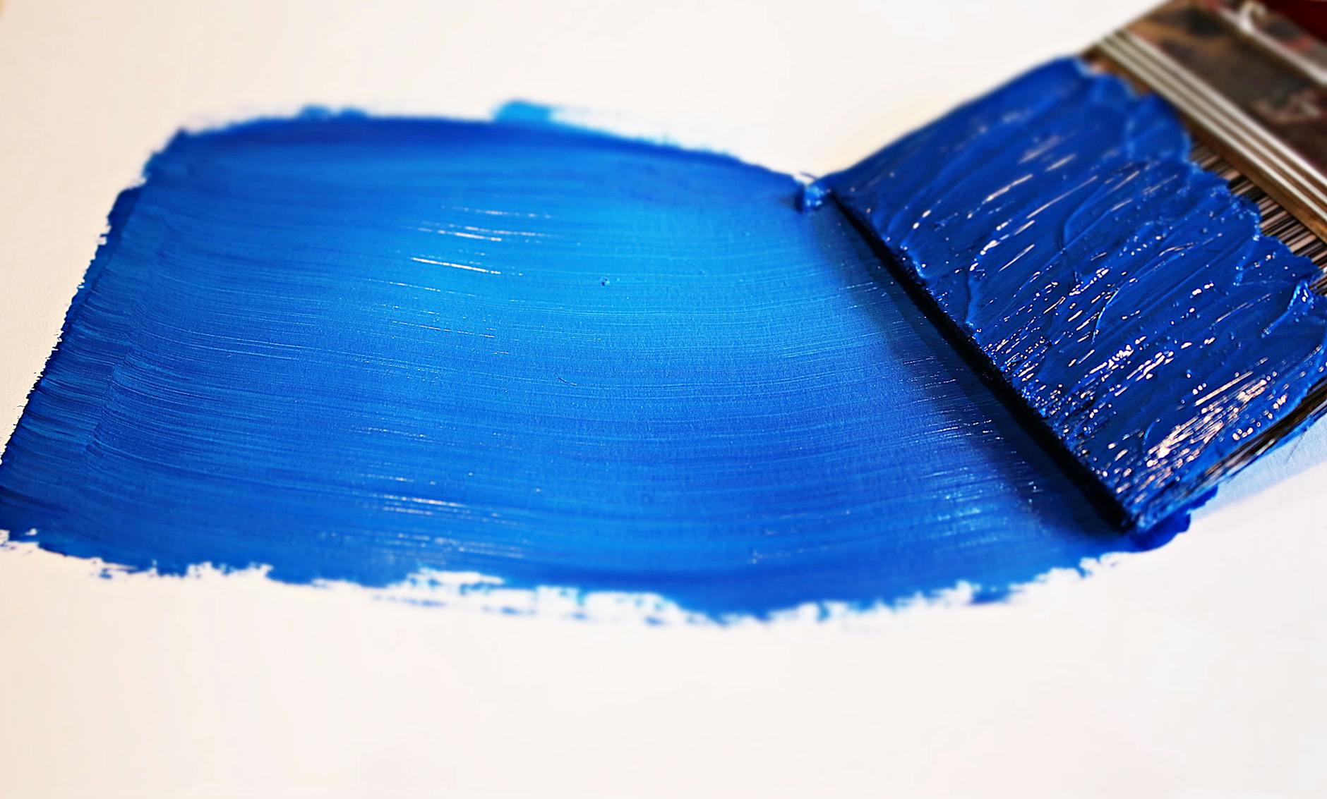 How Long Does Paint Take to Dry? See Answer