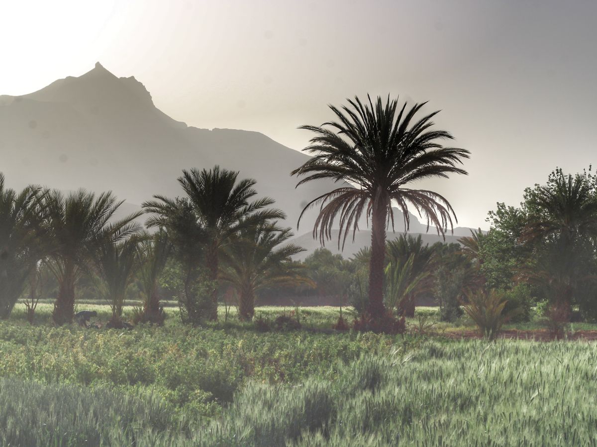 8 Day Body & Mind Awareness: Yoga in the Atlas Mountains, Morocco 3