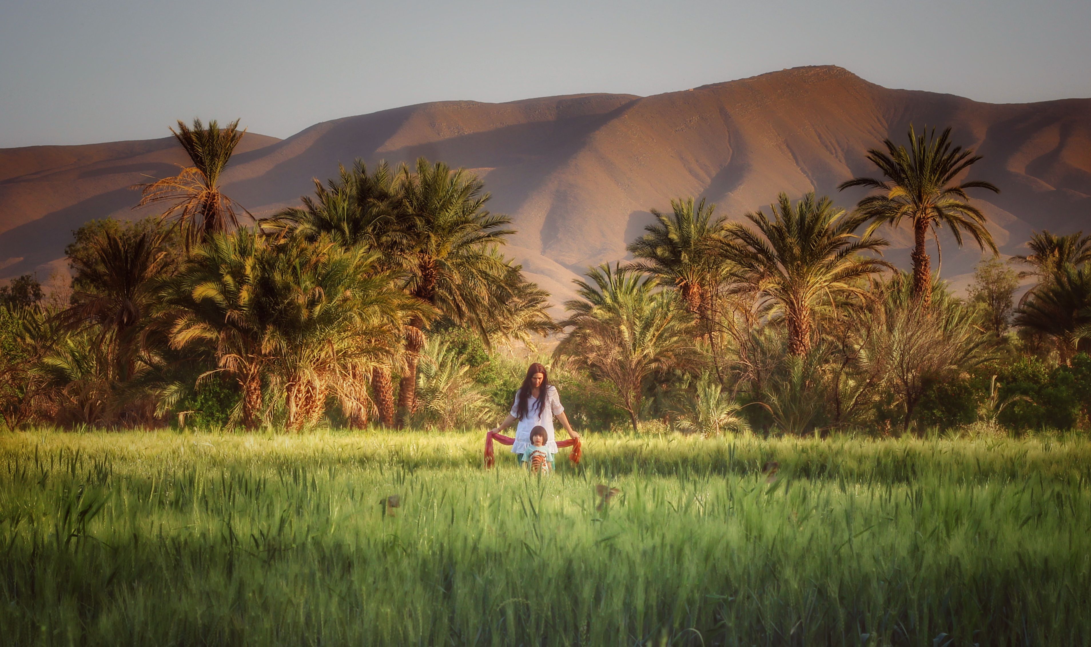 A serene family moment amidst palm trees and mountains in a vibrant valley.