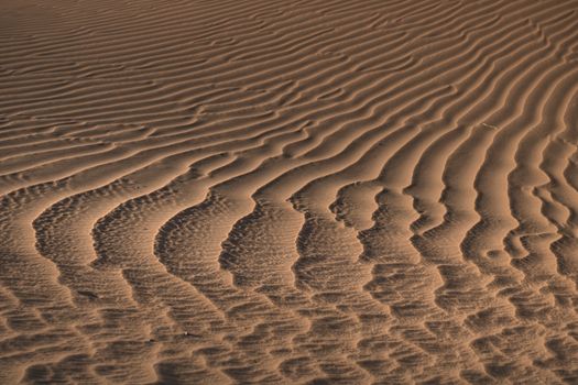 Beautiful undulating sand dunes with detailed ripples under warm sunlight, showcasing nature's artistry.