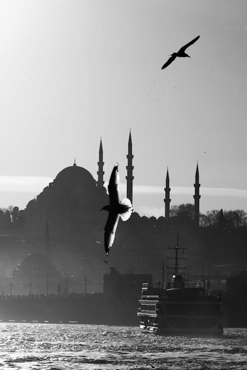 Black and White Photo of a Silhouetted Mosque and Birds Flying over the Bosphorus Strait in Istanbul 