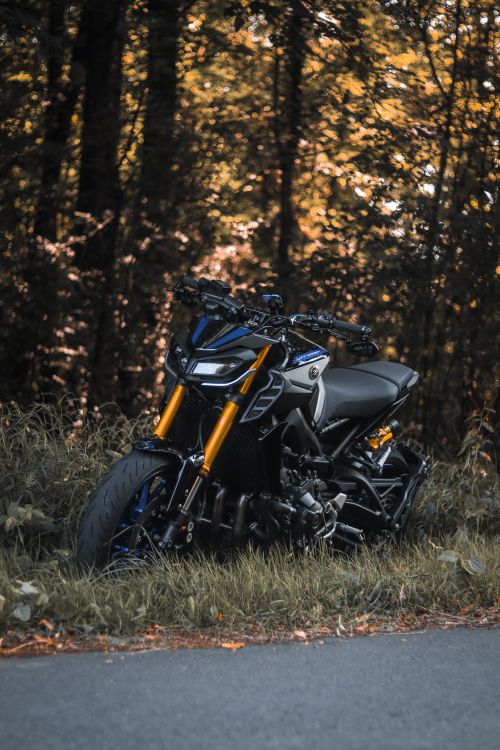 Free A sleek sport motorcycle parked on the roadside by a dense forest. Stock Photo