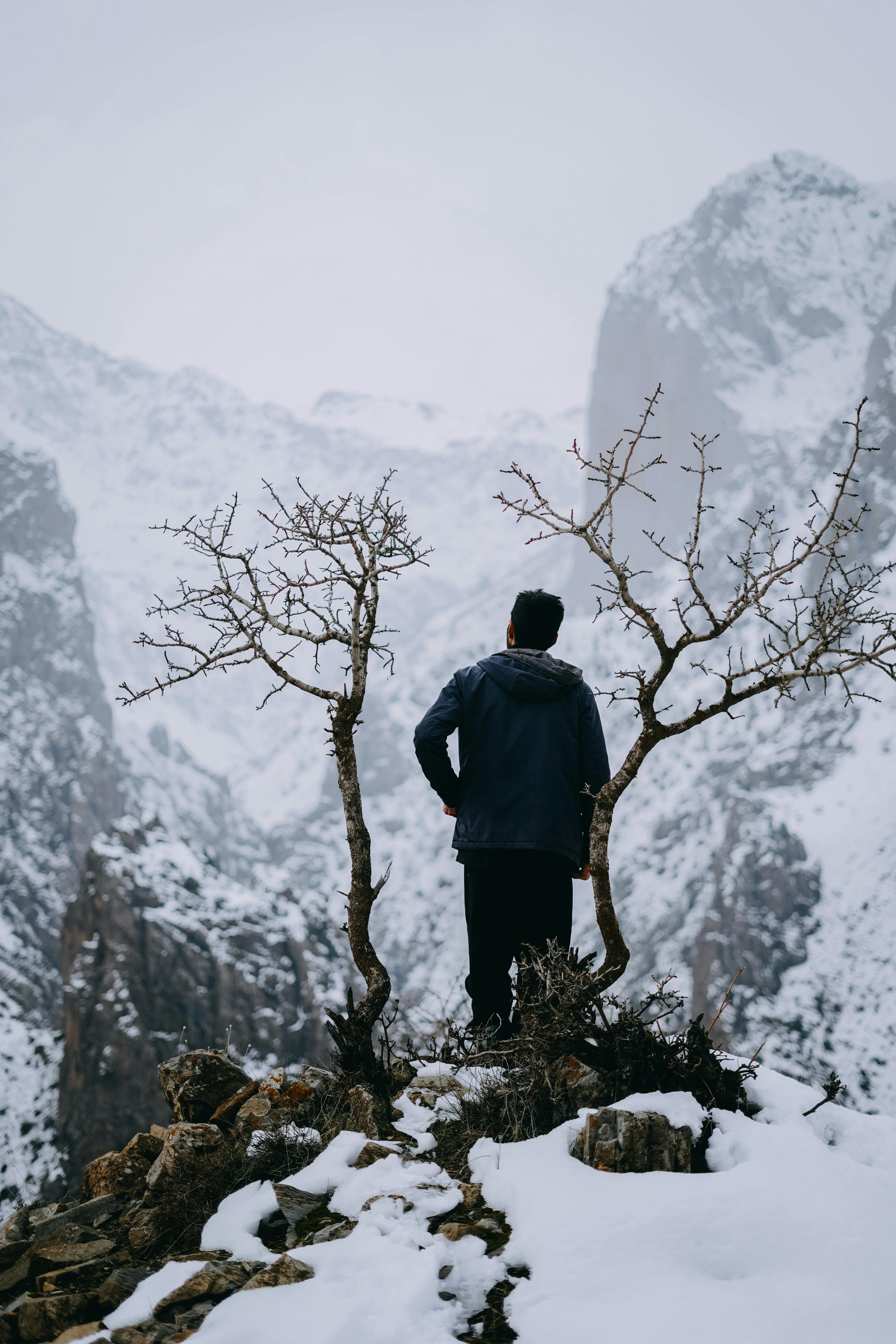 What Are The Best Destinations For Nature Lovers This Year?