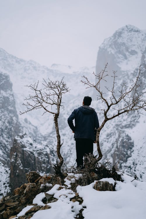 A man standing in the snow looking at a tree