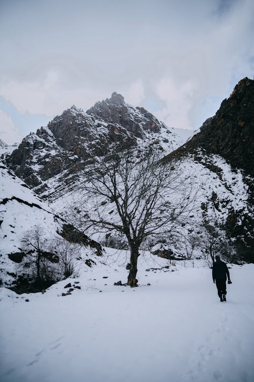 A person walking through the snow in front of a mountain