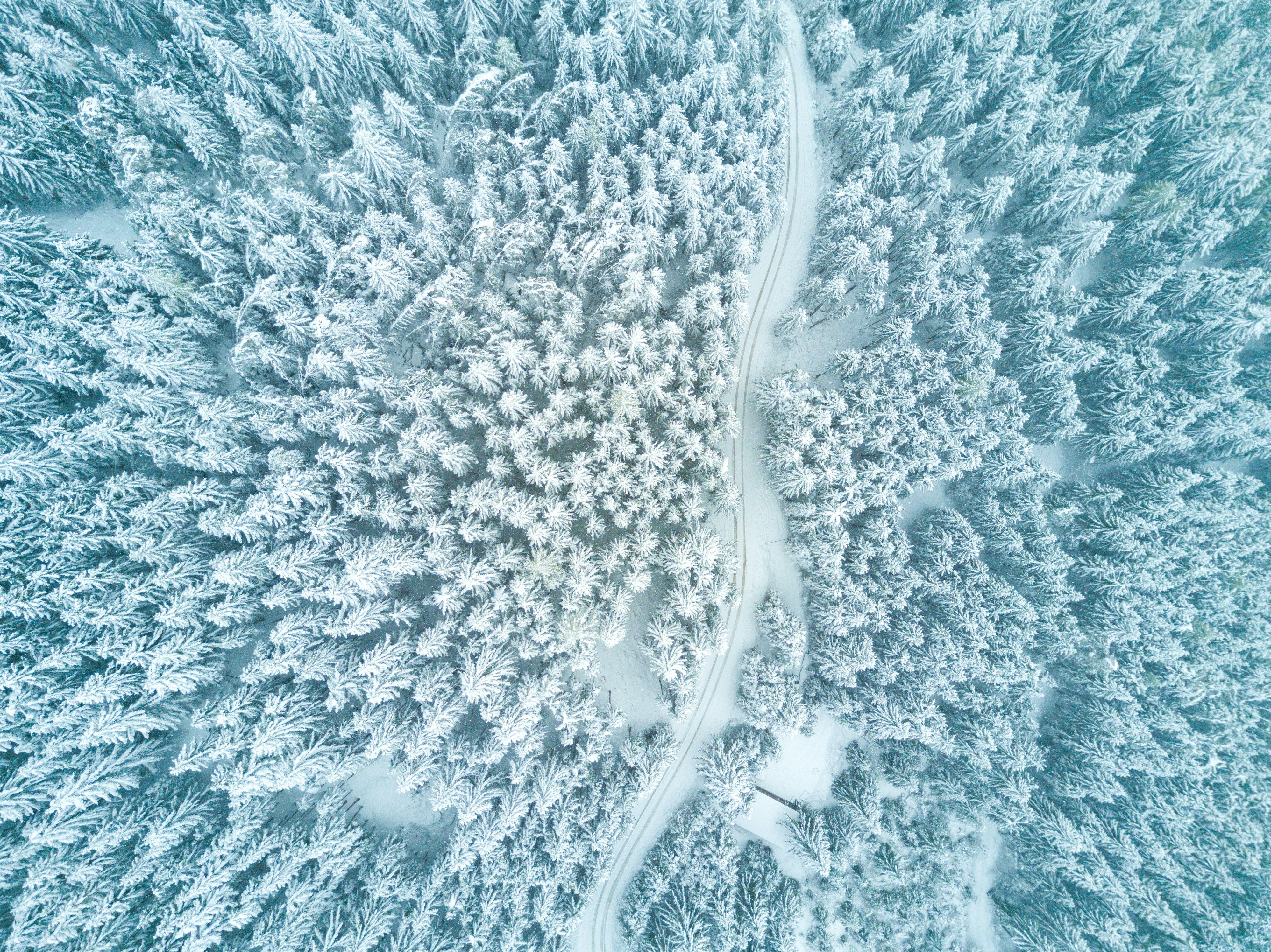 Explore a stunning aerial view of a snow-covered forest and winding road, perfect for winter-themed projects.