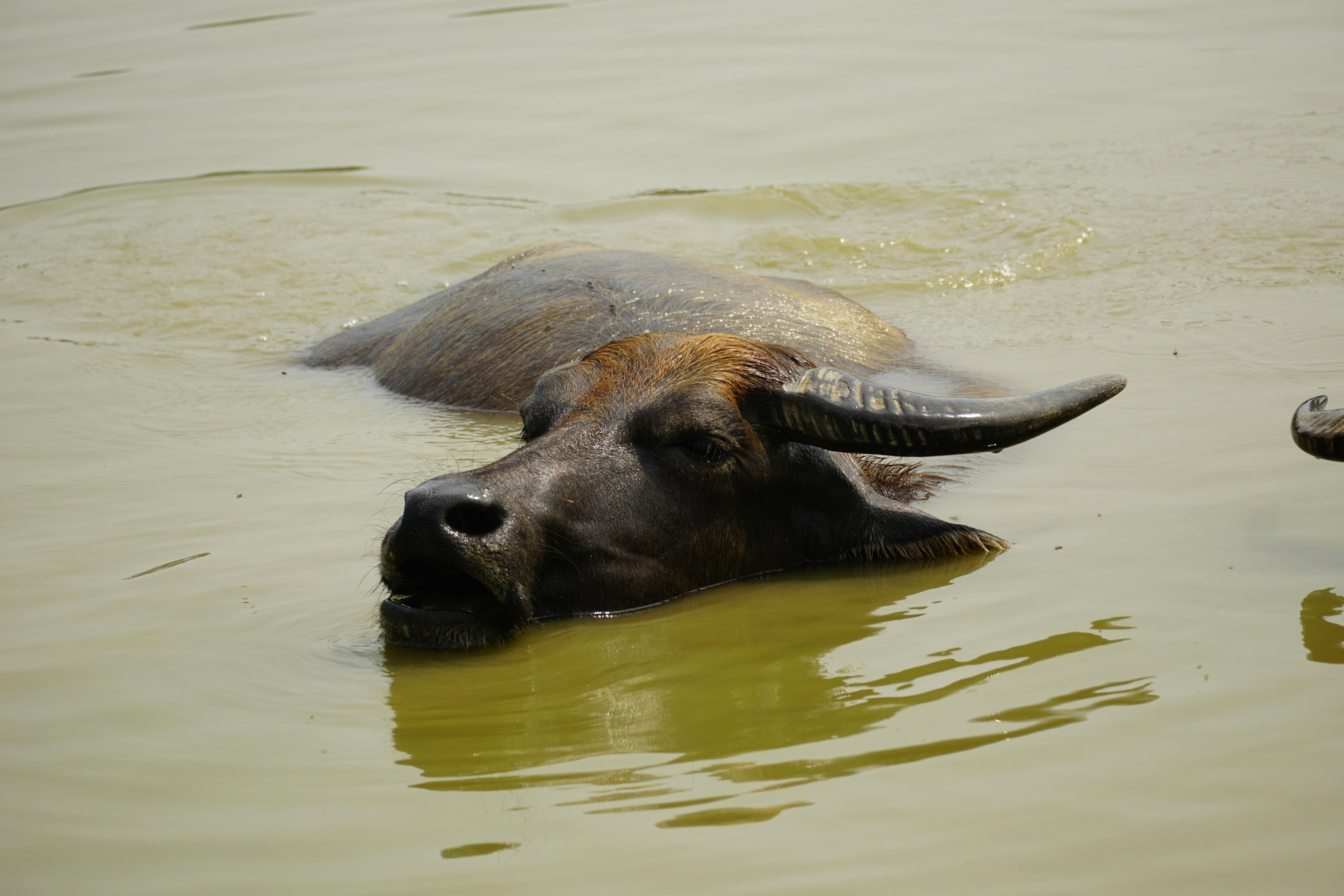 Innovative Water Conservation Technologies for Modern Farms