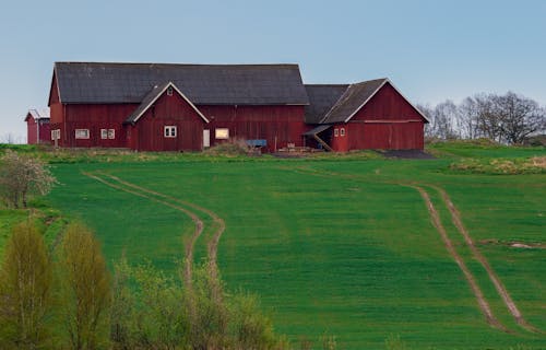 A red barn sits on a green field