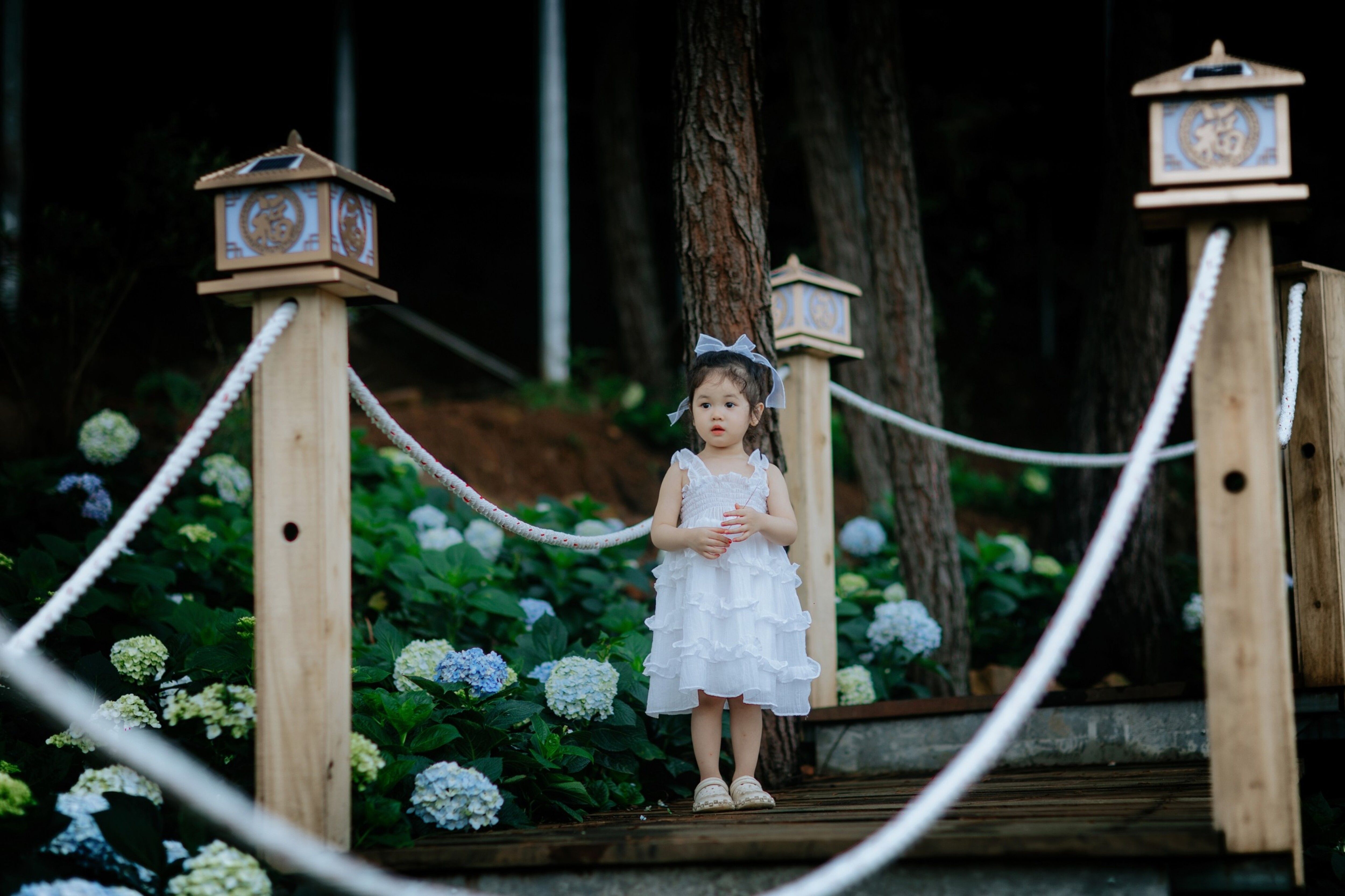 Girl Wearing White Dress on Wooden Stairs · Free Stock Photo