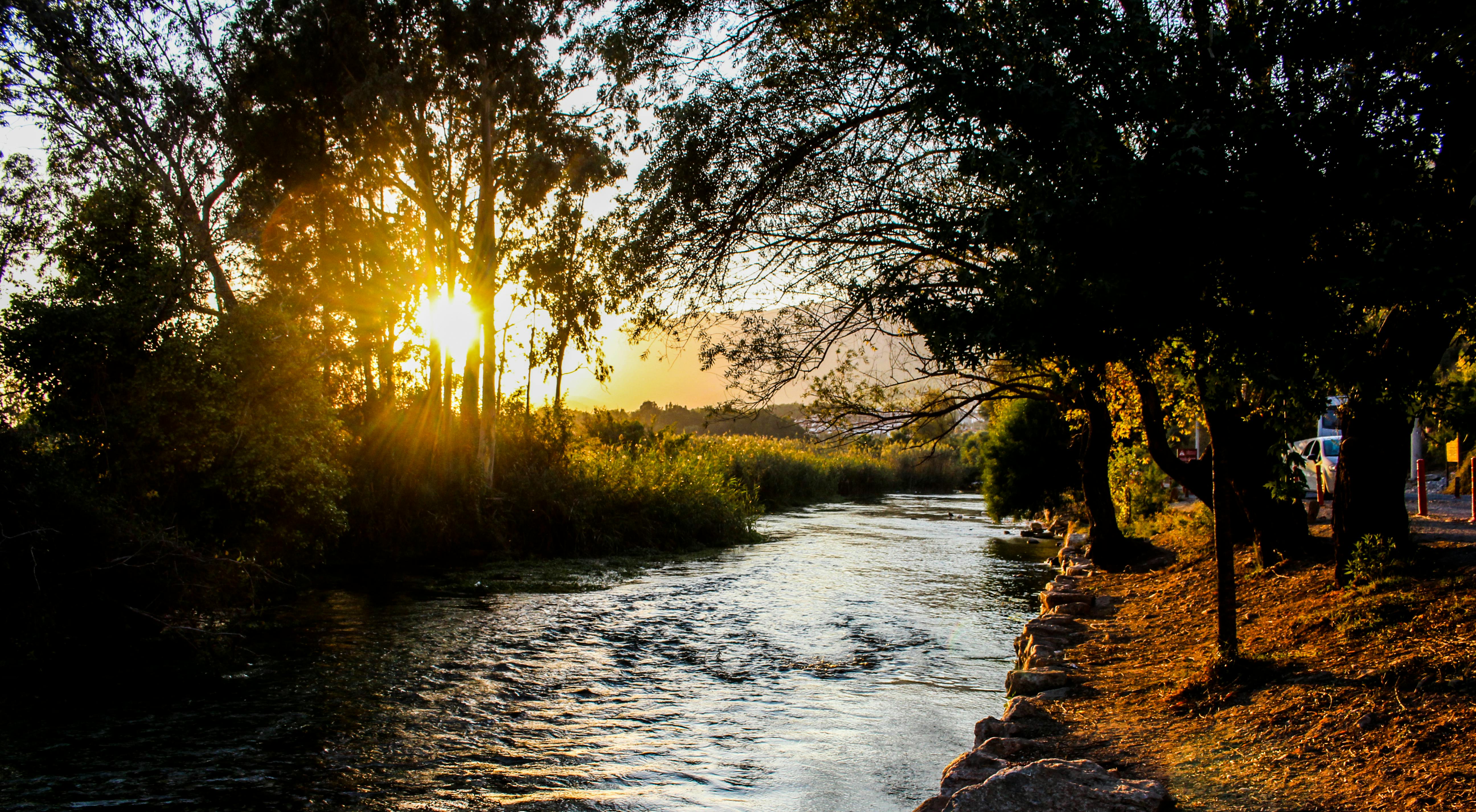 日出时分，阳光穿过树木，映照在宁静的河流上，提供了一处自然的避世之所
