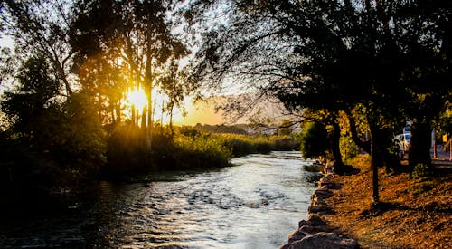 Безкоштовне стокове фото на тему «вода, дерева, Захід сонця»