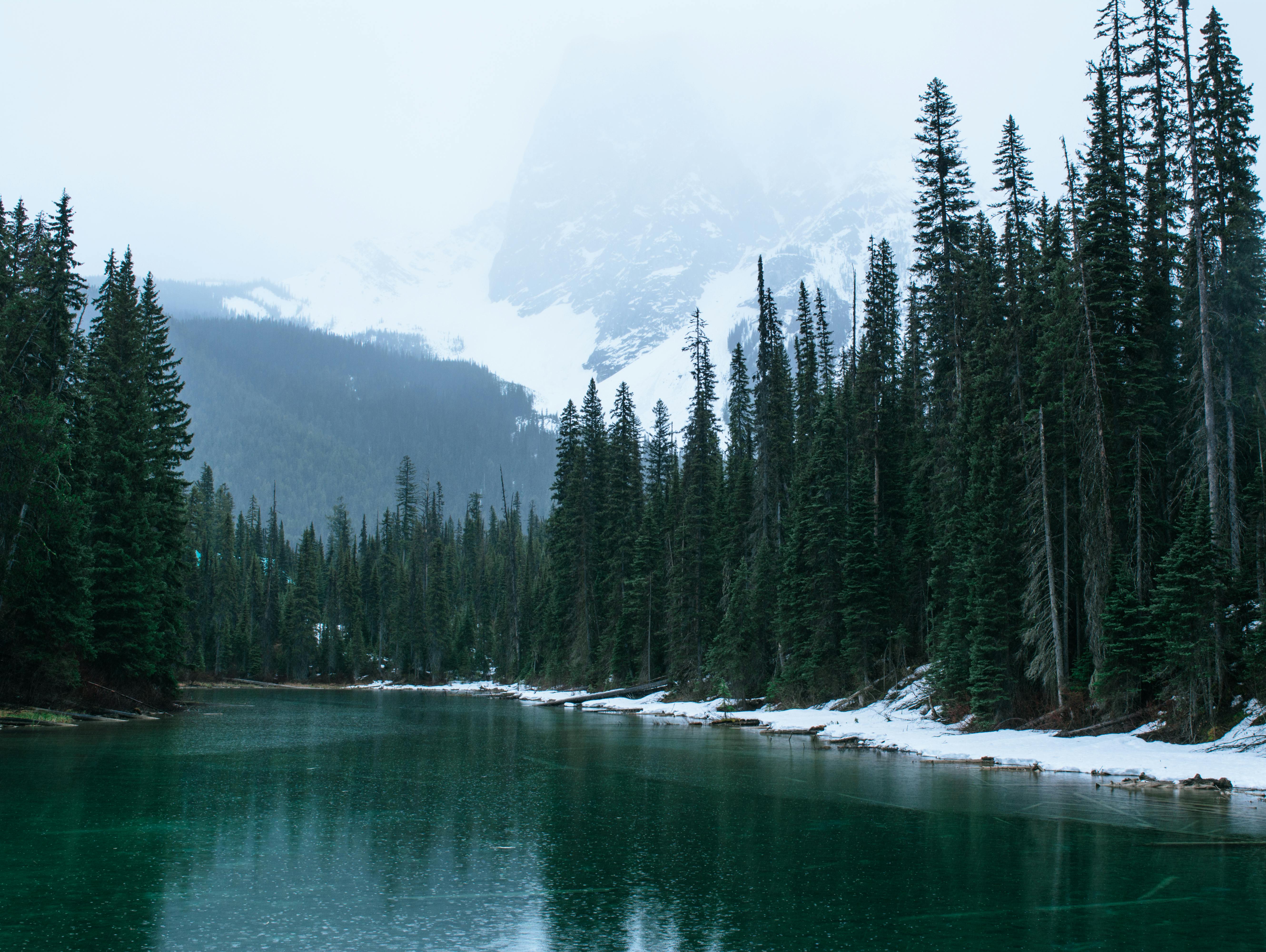 A tranquil winter scene with a snowy mountain, evergreen trees, and a turquoise lake reflecting the cloudy sky.