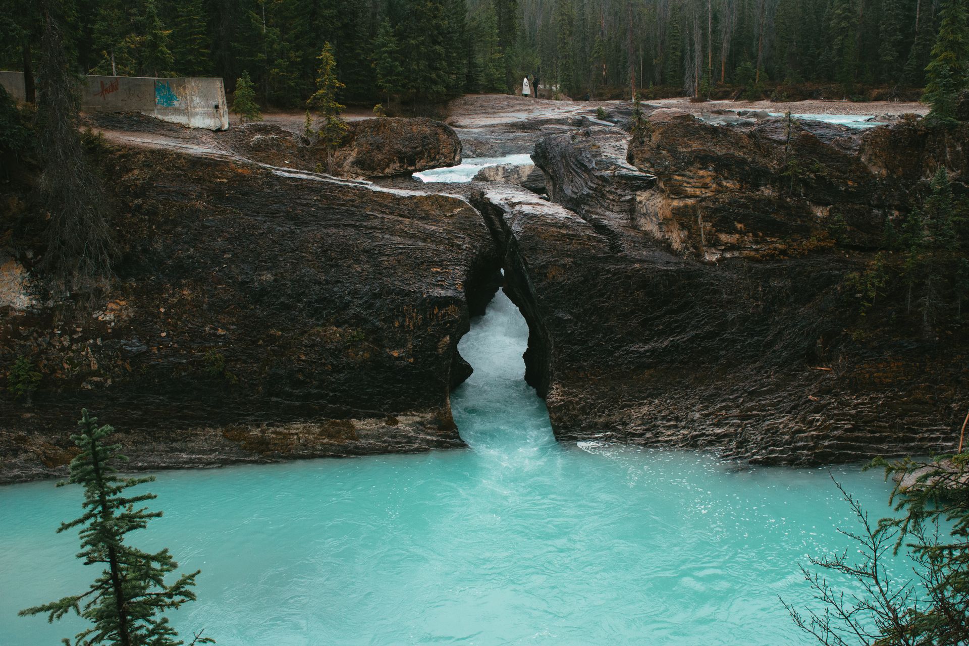 Gap in the River Between Branches