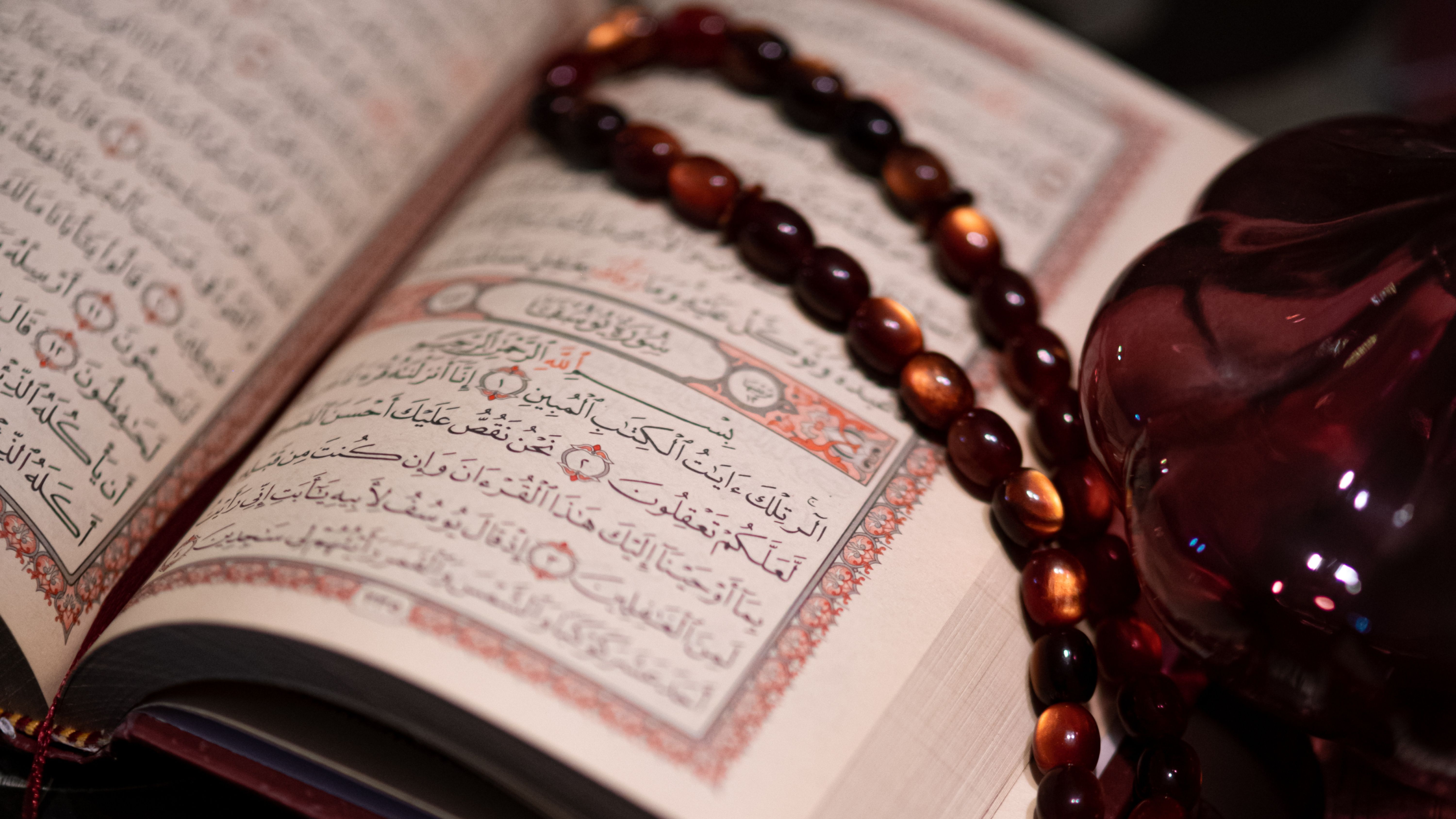 Students studying Quran