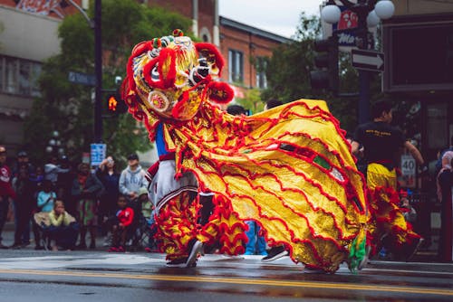 Person Wearing Foo Dog Costume