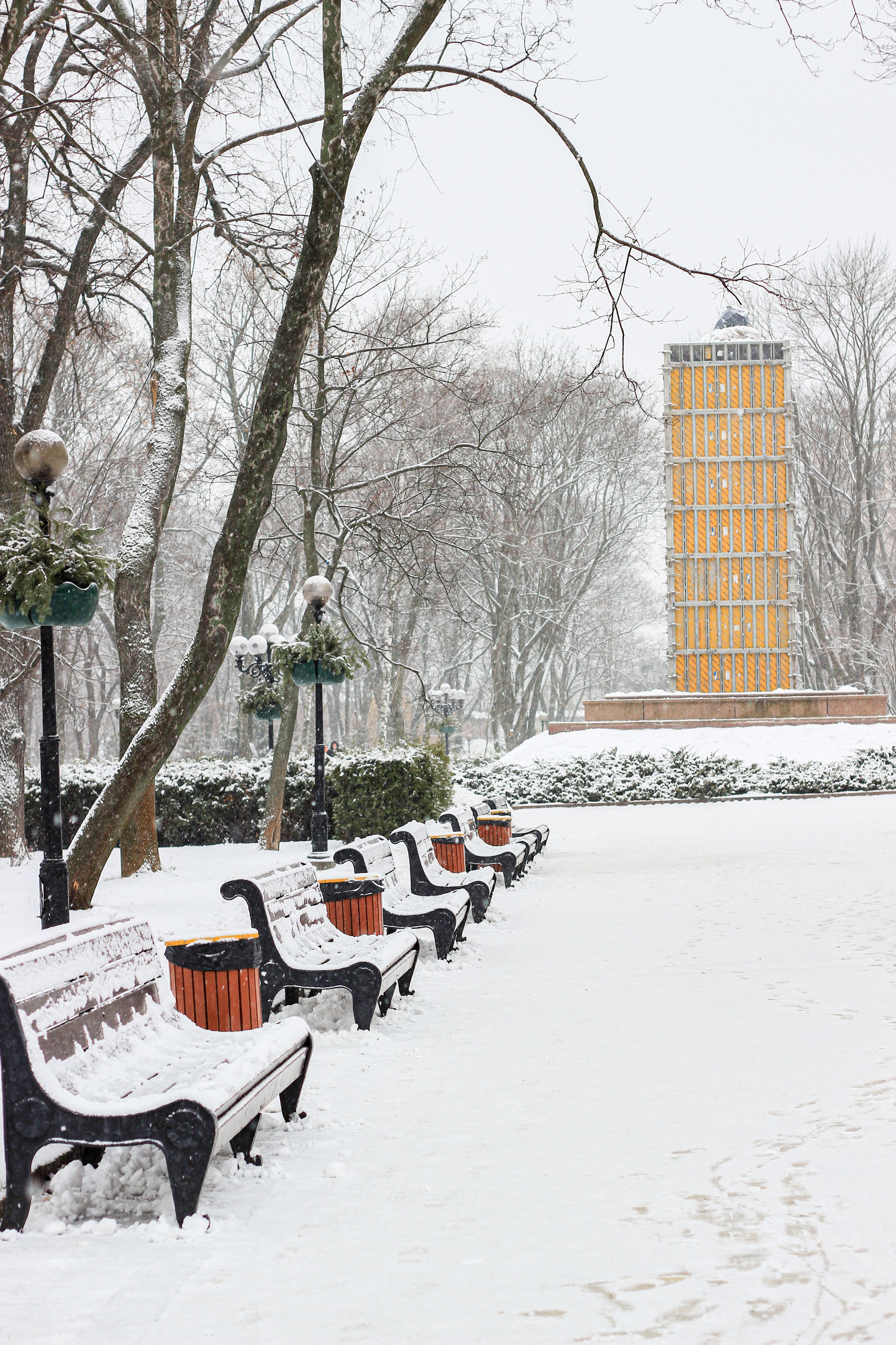 Benches Covered with Snow in a Park · Free Stock Photo