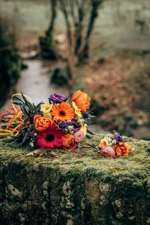 Foto stok gratis buket, bunga, bunga yang indah