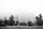 foggy city