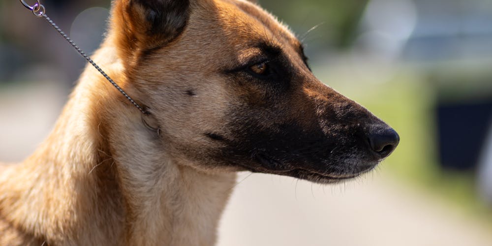 socolive live - Nâng Tầm Cá Cược - Chiến Thắng Trong Tầm Tay