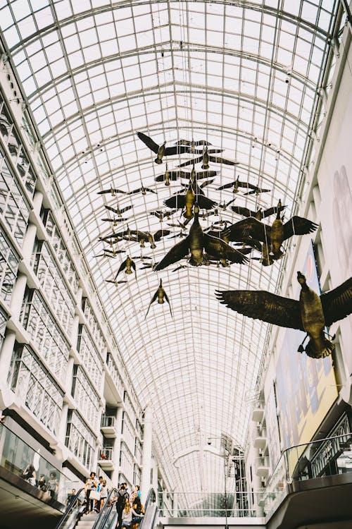 Worm's Eye View Photo of Flock of Birds