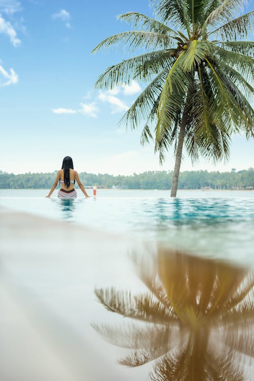Woman in Water Near Coconut Palm Tree