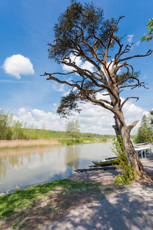 Foto profissional grátis de tuusula