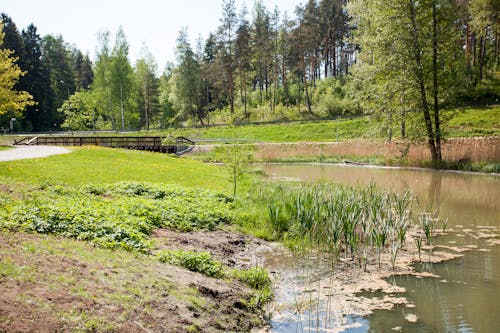 Foto profissional grátis de tuusula