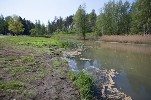 Darmowe zdjęcie z galerii z tuusula